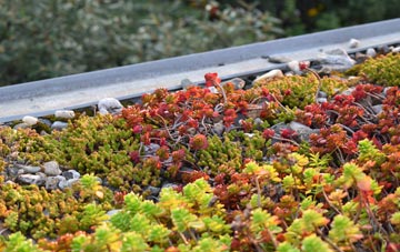 the cost of Chequerfield green roof installation